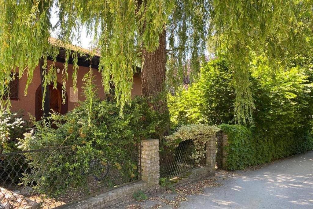 Gartenwohnung 5 Min. Zur Stadt Hagenau Екстер'єр фото